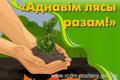 Акция ”Аднавім лясы разам“.